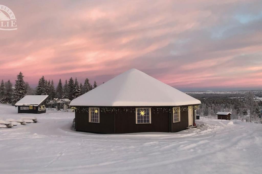 Golsfjellet - Bualie, Milevis Med Sykkelveier, Fiske Og Vannaktivitet, Ski Inn/Ut Til Alpinanlegg Og Langrennsloyper. Exterior photo